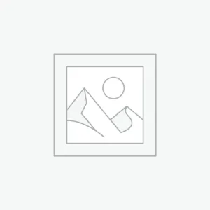 modellismo_dinamico_auto